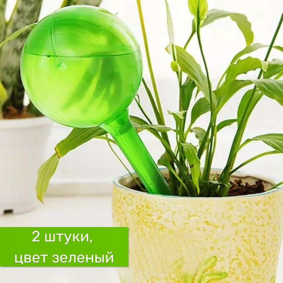 Система капельного полива для комнатных растений