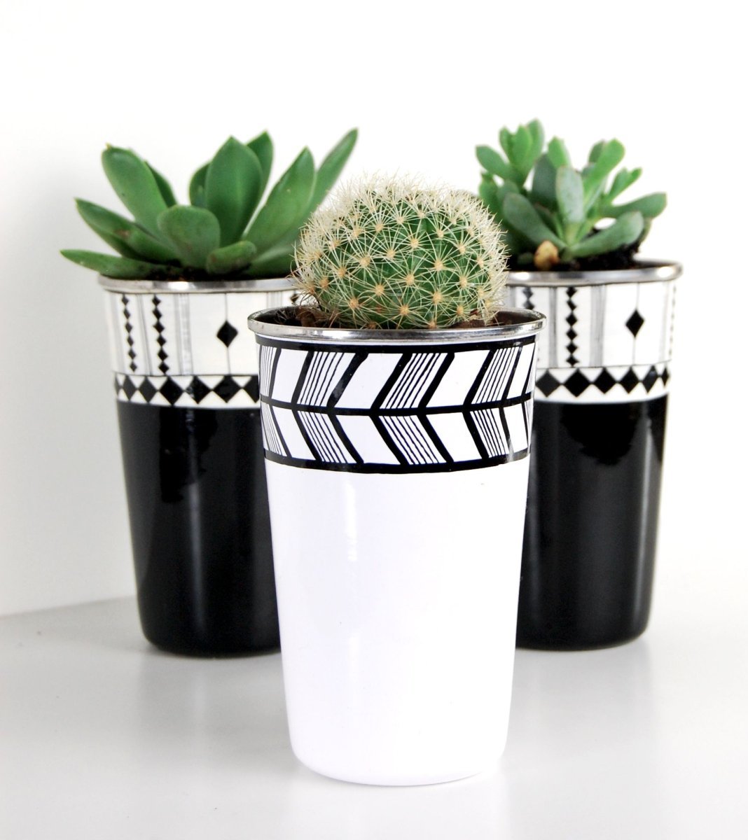 Cactus Pot горшки кактусы Суккуленты