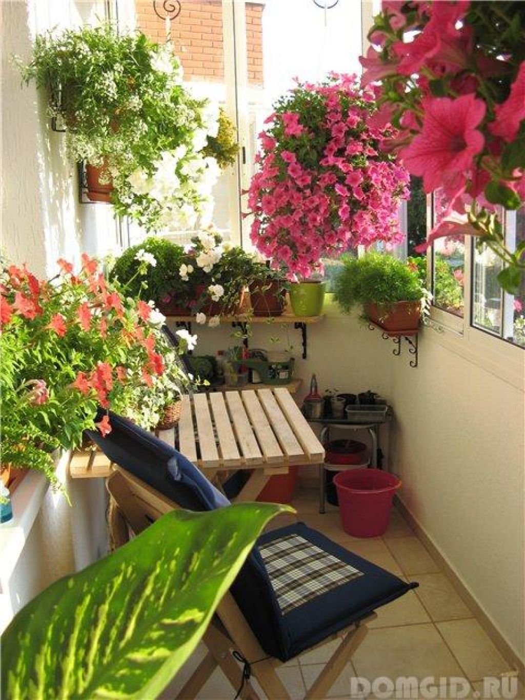 Северный балкон. Сад оранжерея на балконе. Озеленение балкона. Цветы на лоджии. Комнатные растения на балконе.