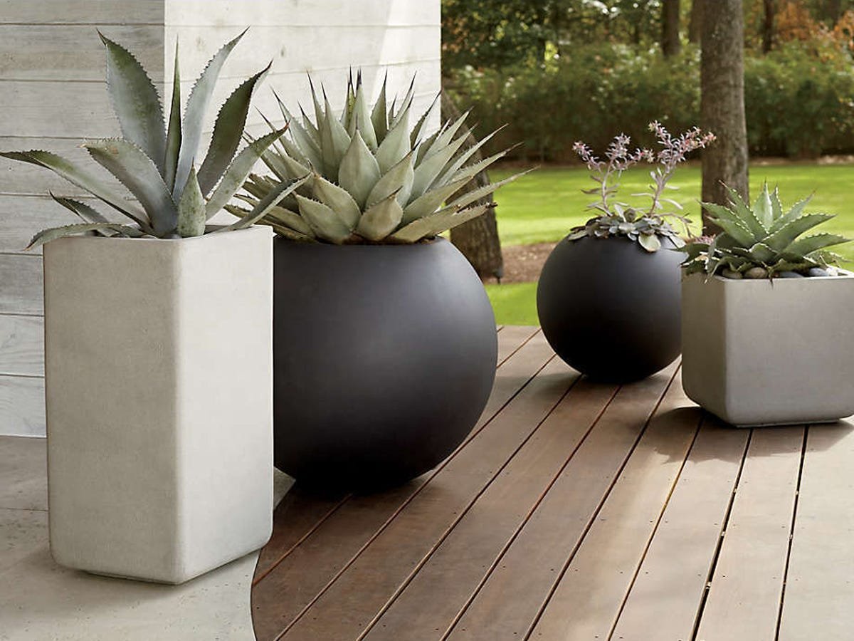 Plants Gray