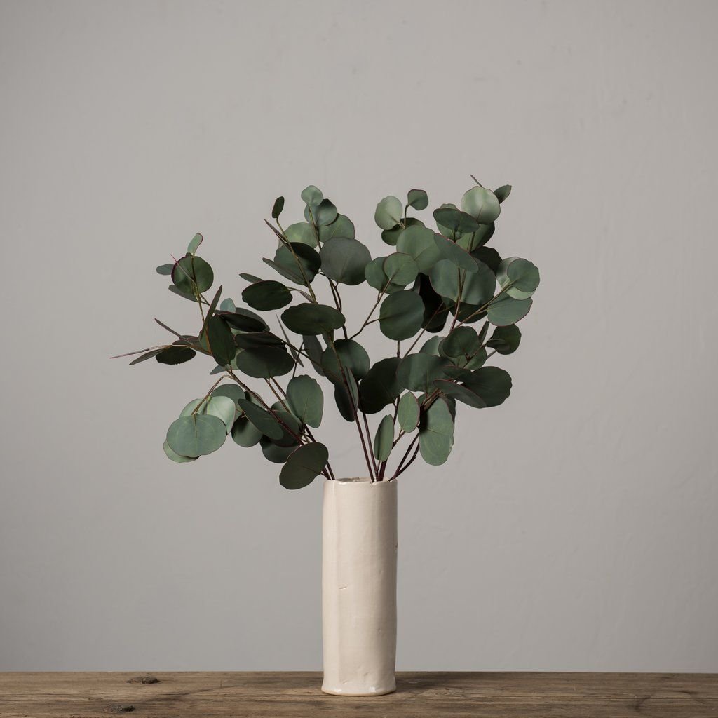 Silver Dollar Eucalyptus