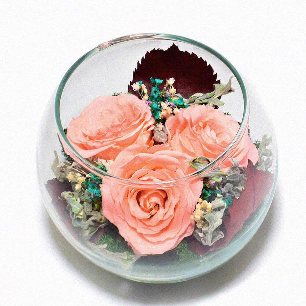 Rose Oasis стабилизированные цветы