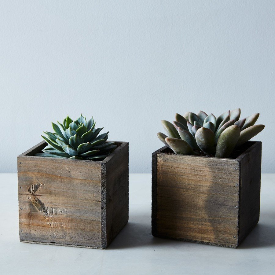 Crate&Barrel кашпо