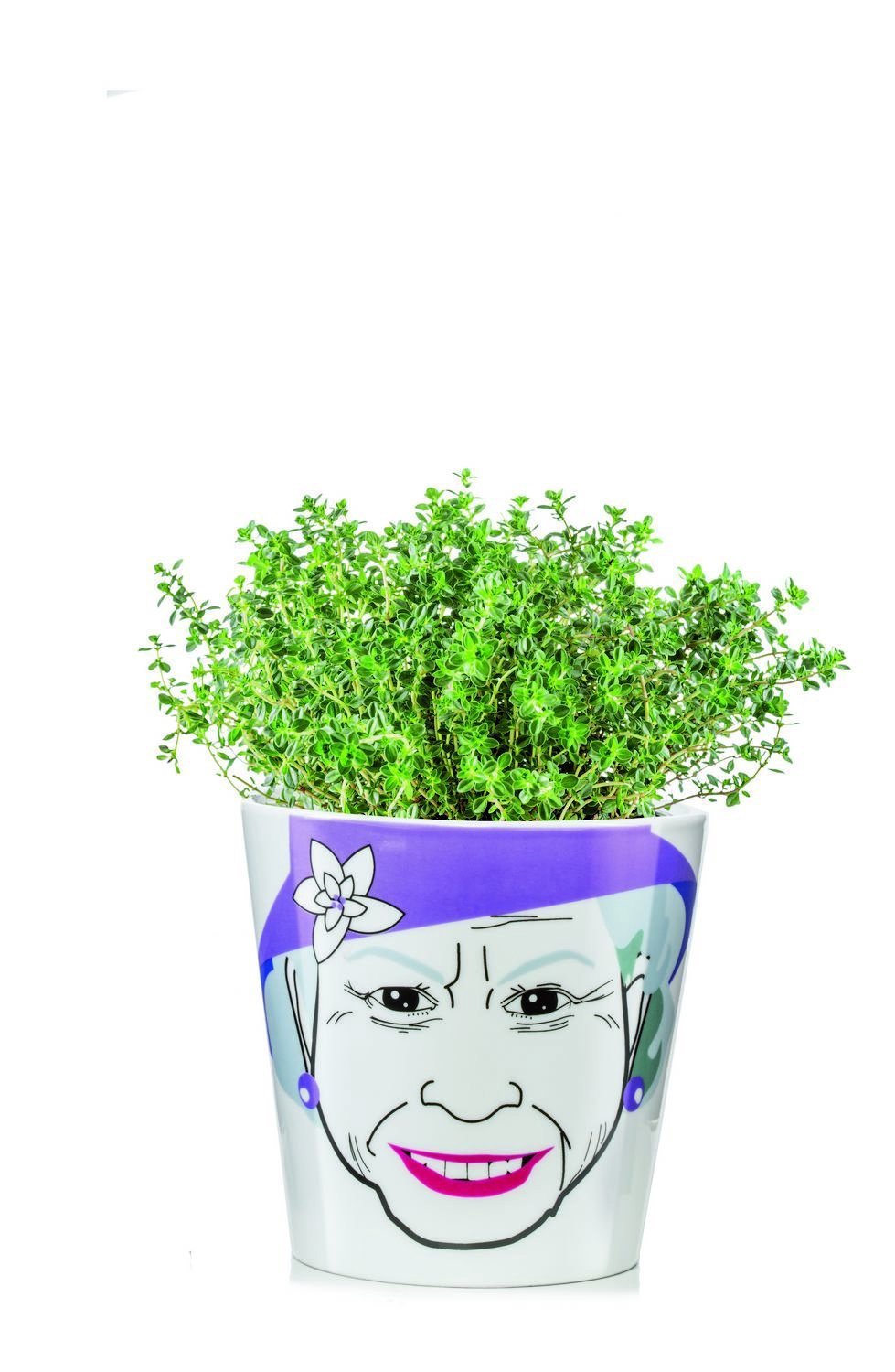 Цветочный горшок лицо