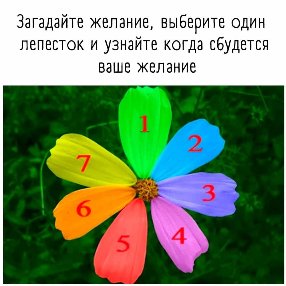 Цветик семицветик
