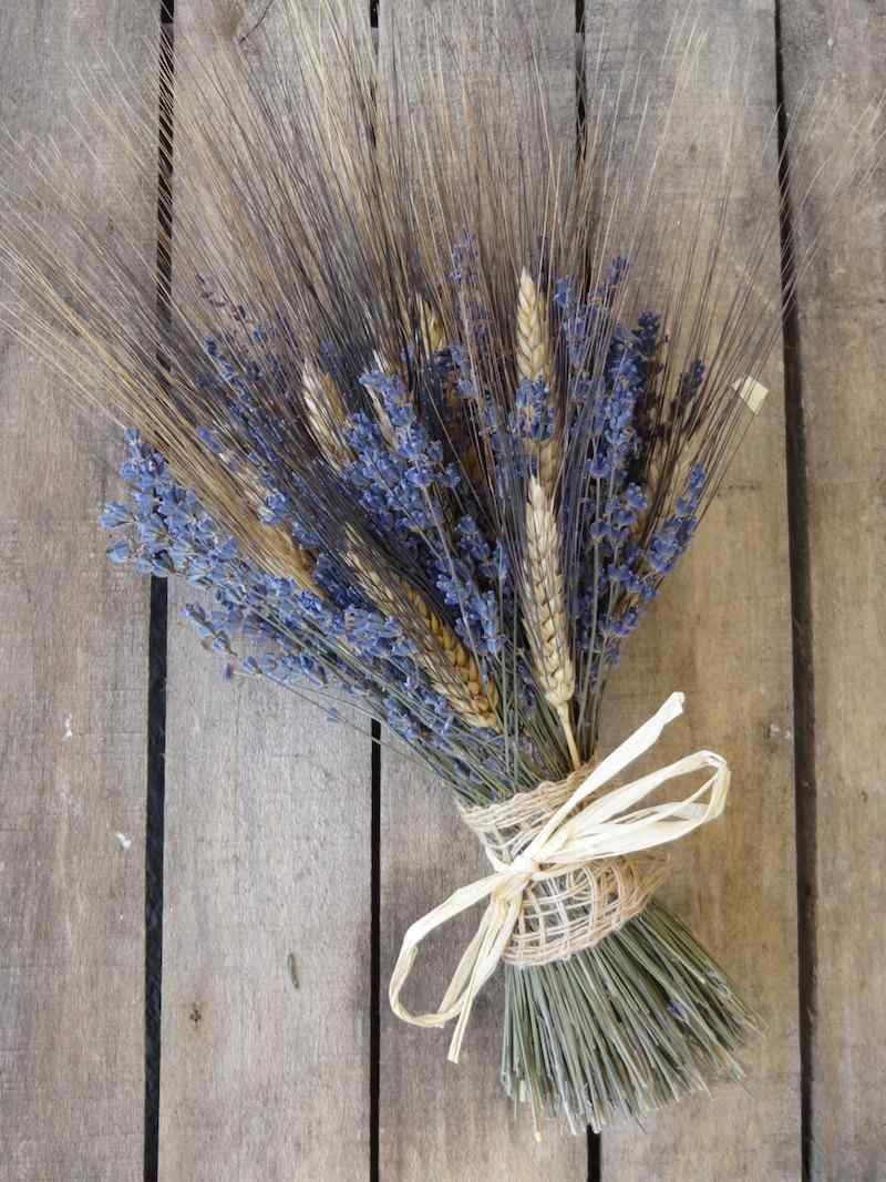 Купить камыш для букета