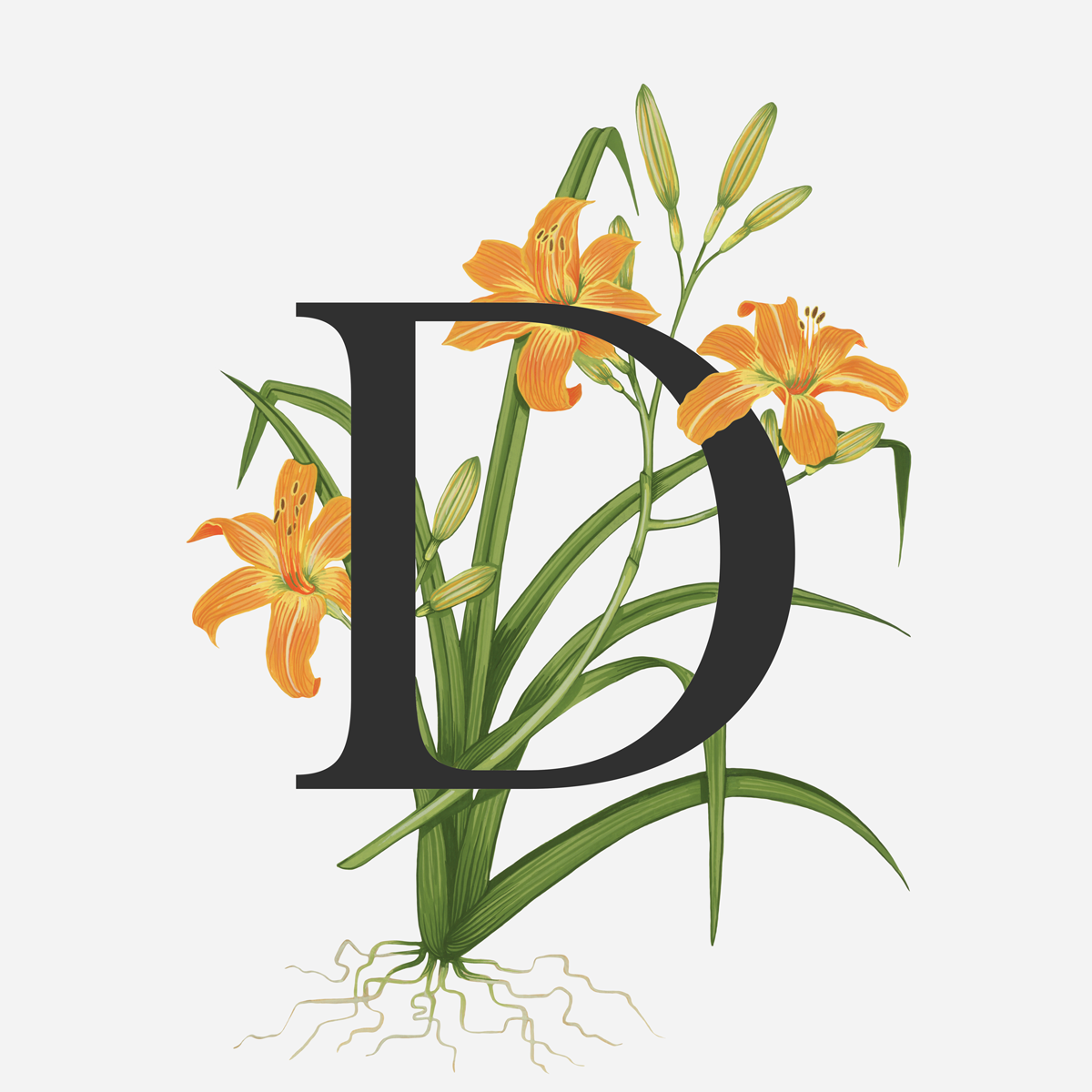 Лилия для азбуки