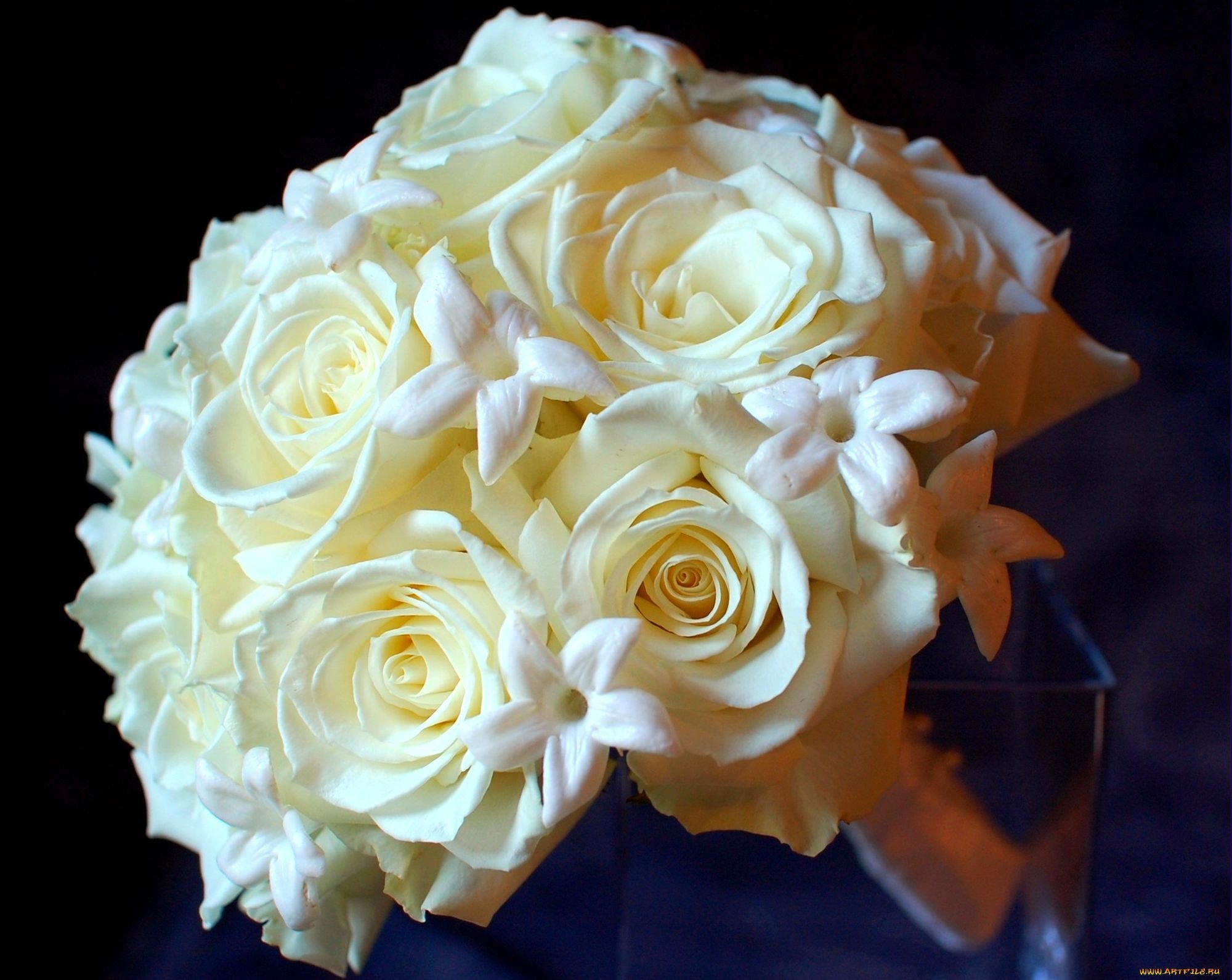 Картинки кремовый. Шикарные кремовые розы. Красивый букет кремовых роз. Красивый букет из белых роз.