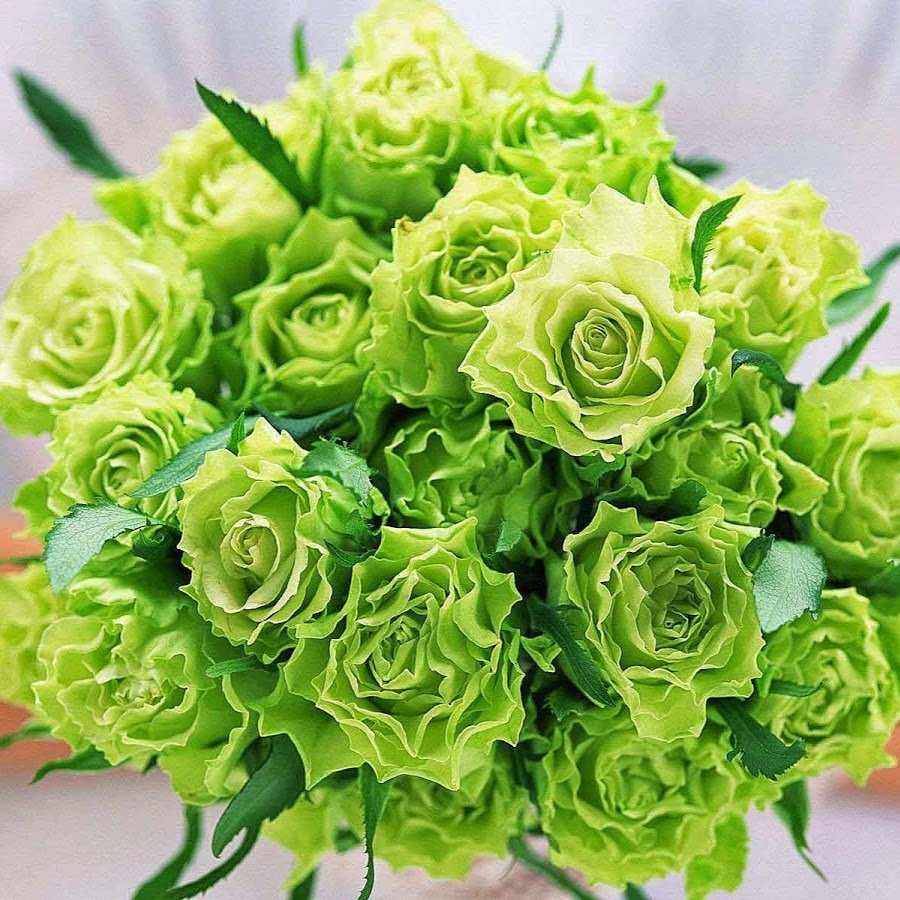 Грин Даймонд Green Diamond роза