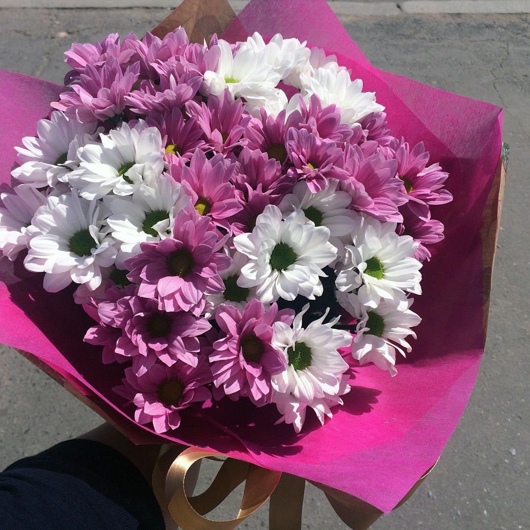 Ранункулюс kochii
