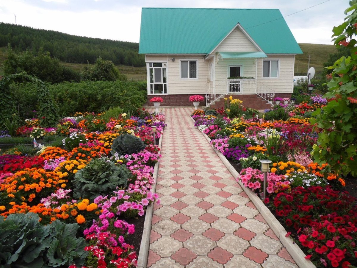 Сибирский палисадник