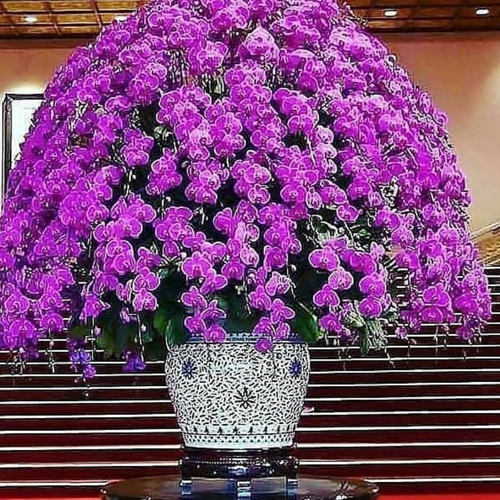 Женщина с букетом сирени