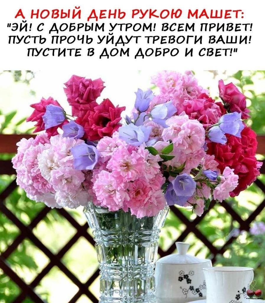 Раффлезия стапелия