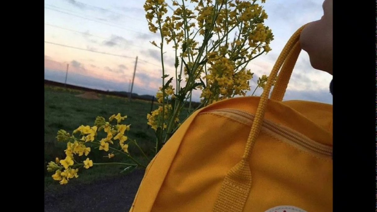Эстетика жёлтых цветов