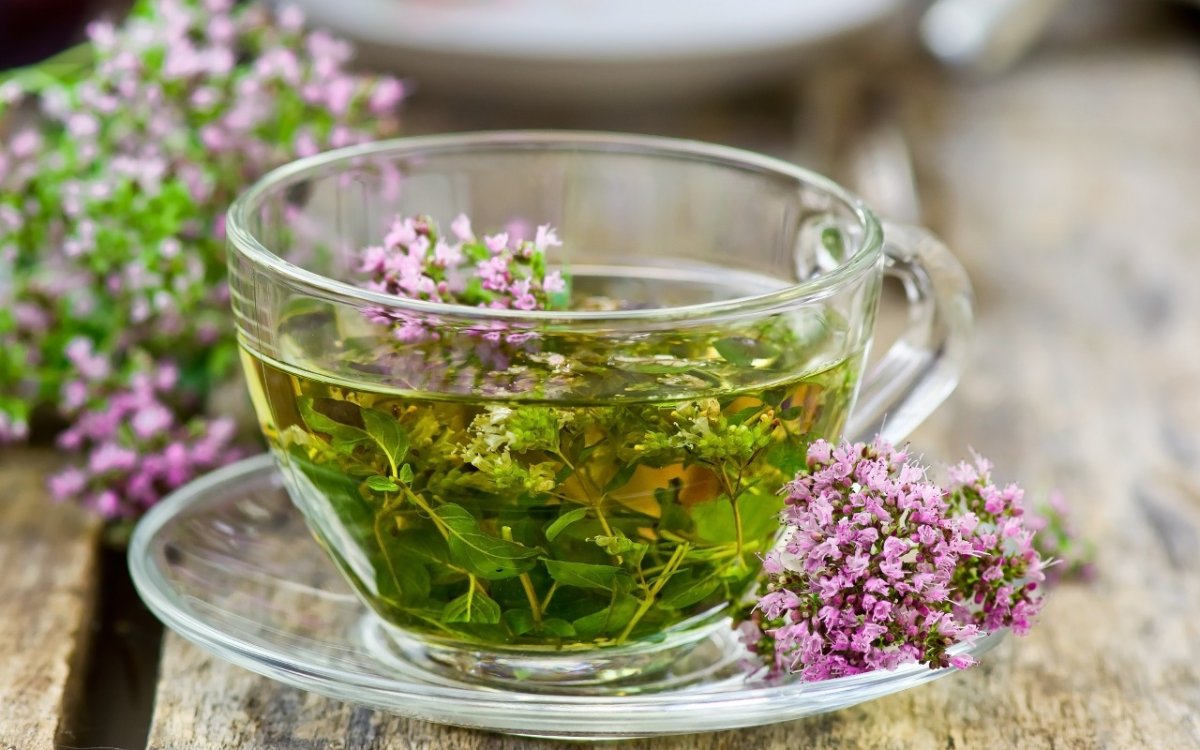 Душица обыкновенная Origanum vulgare сырье