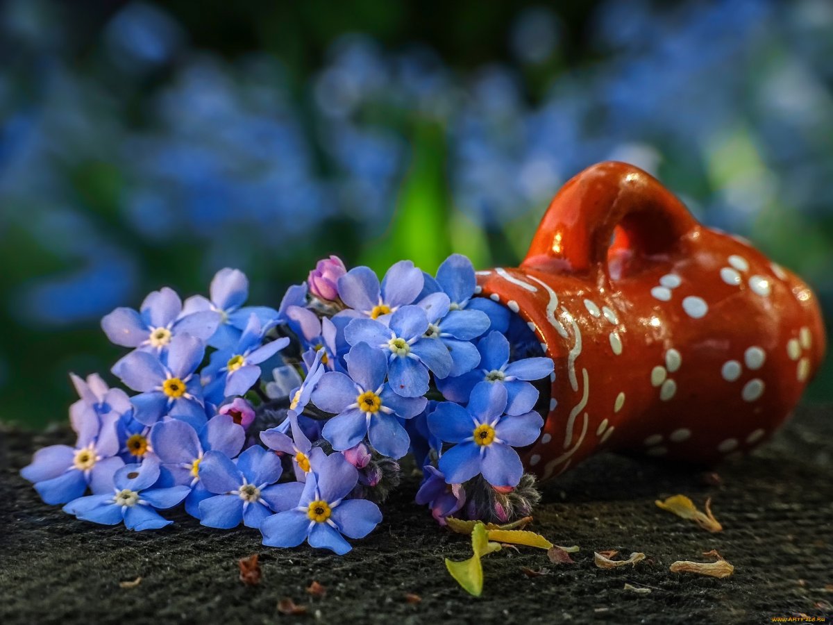 Цветы в синем кувшине