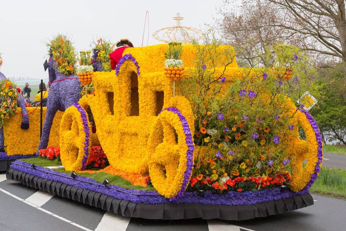 Фестиваль цветов «Bloemencorso»