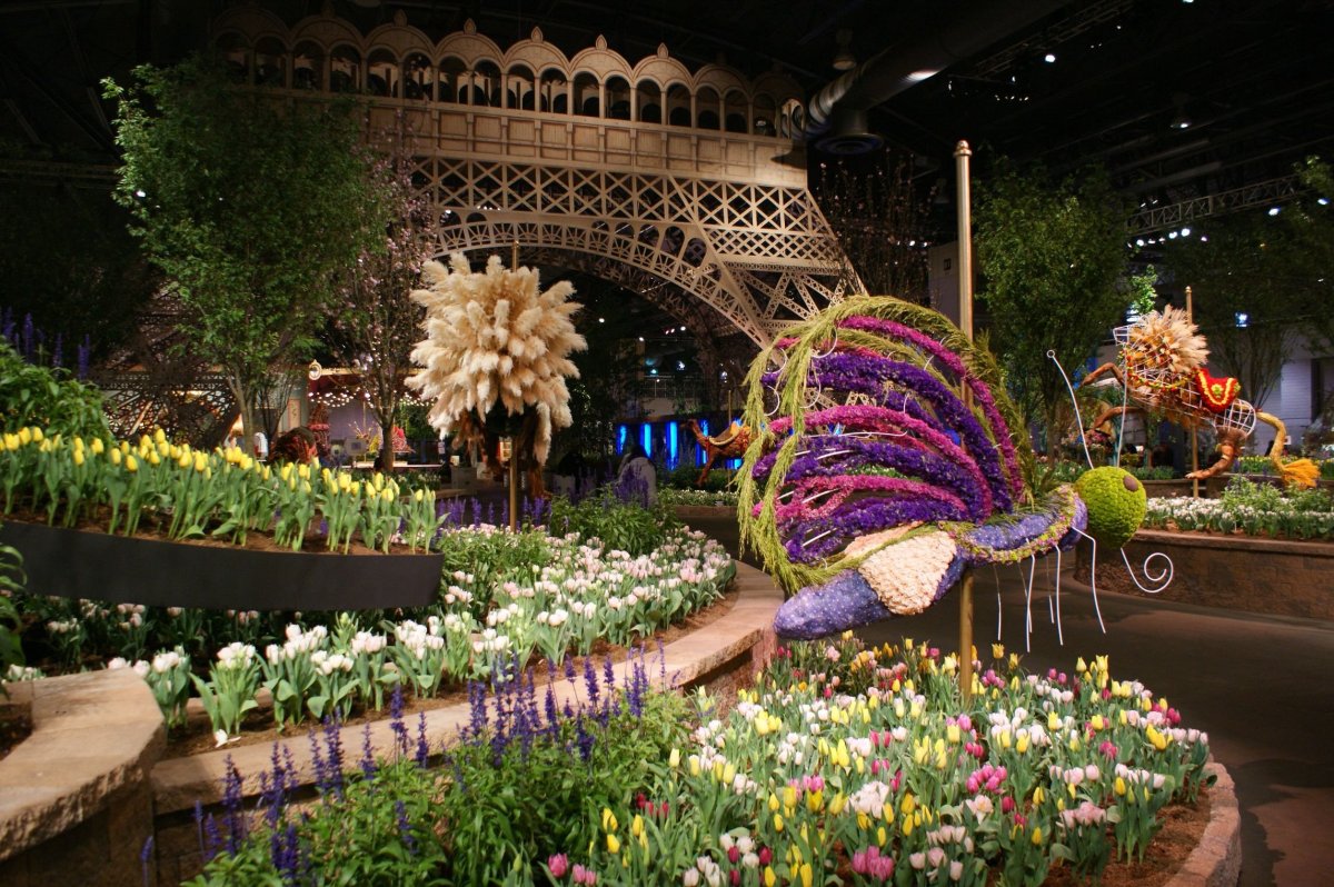 Philadelphia Flower and Garden show сады