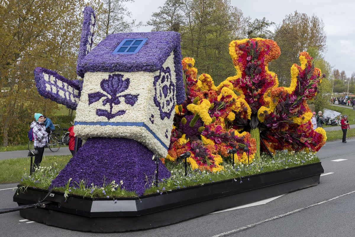 Парад цветов в Голландии Bloemencorso маршрут