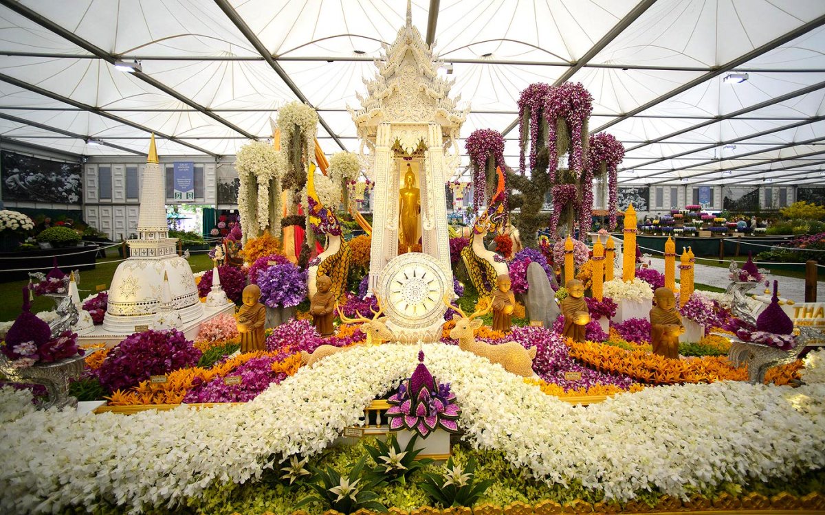 Фестиваль цветов в Челси Chelsea Flower show