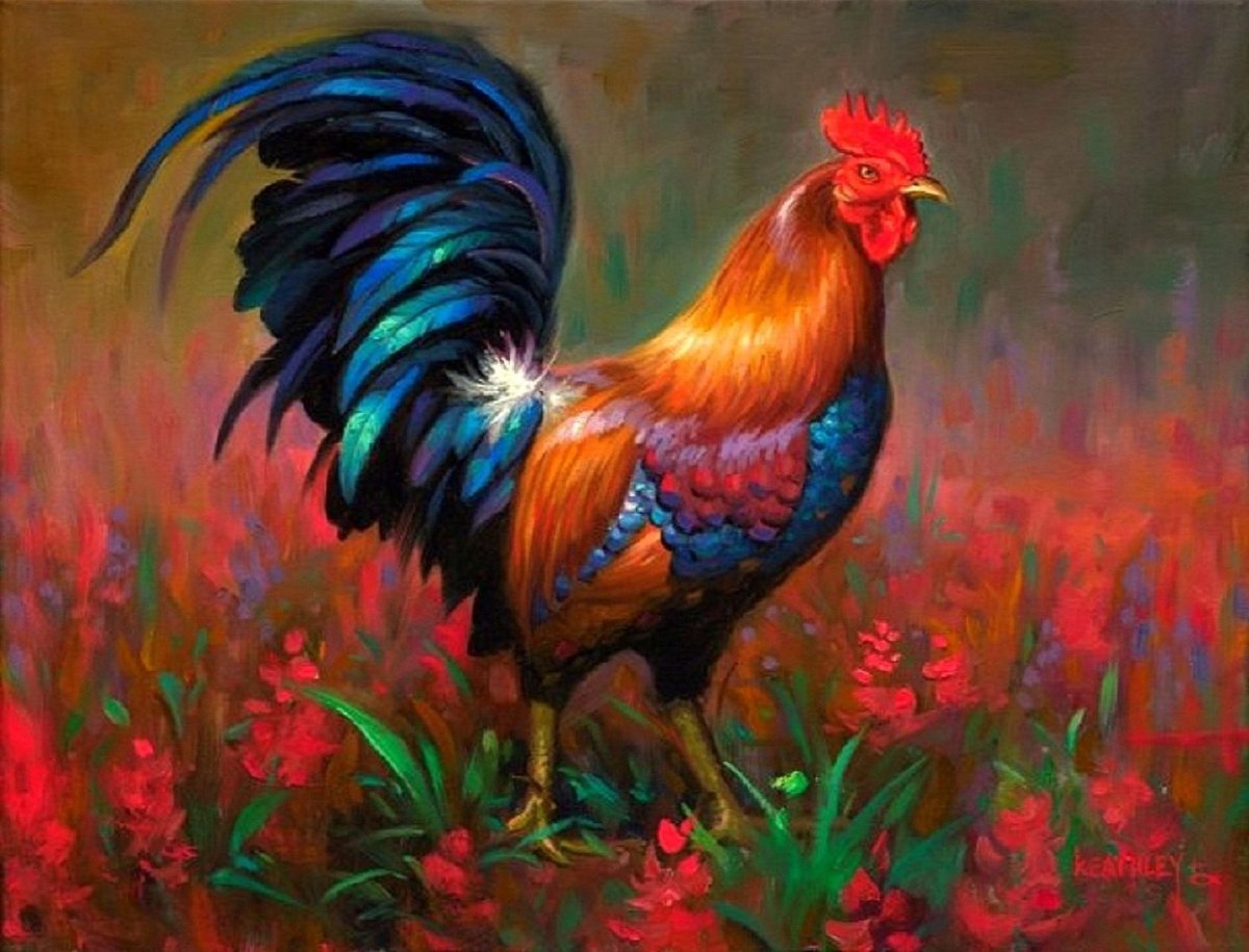 Банкивский петух