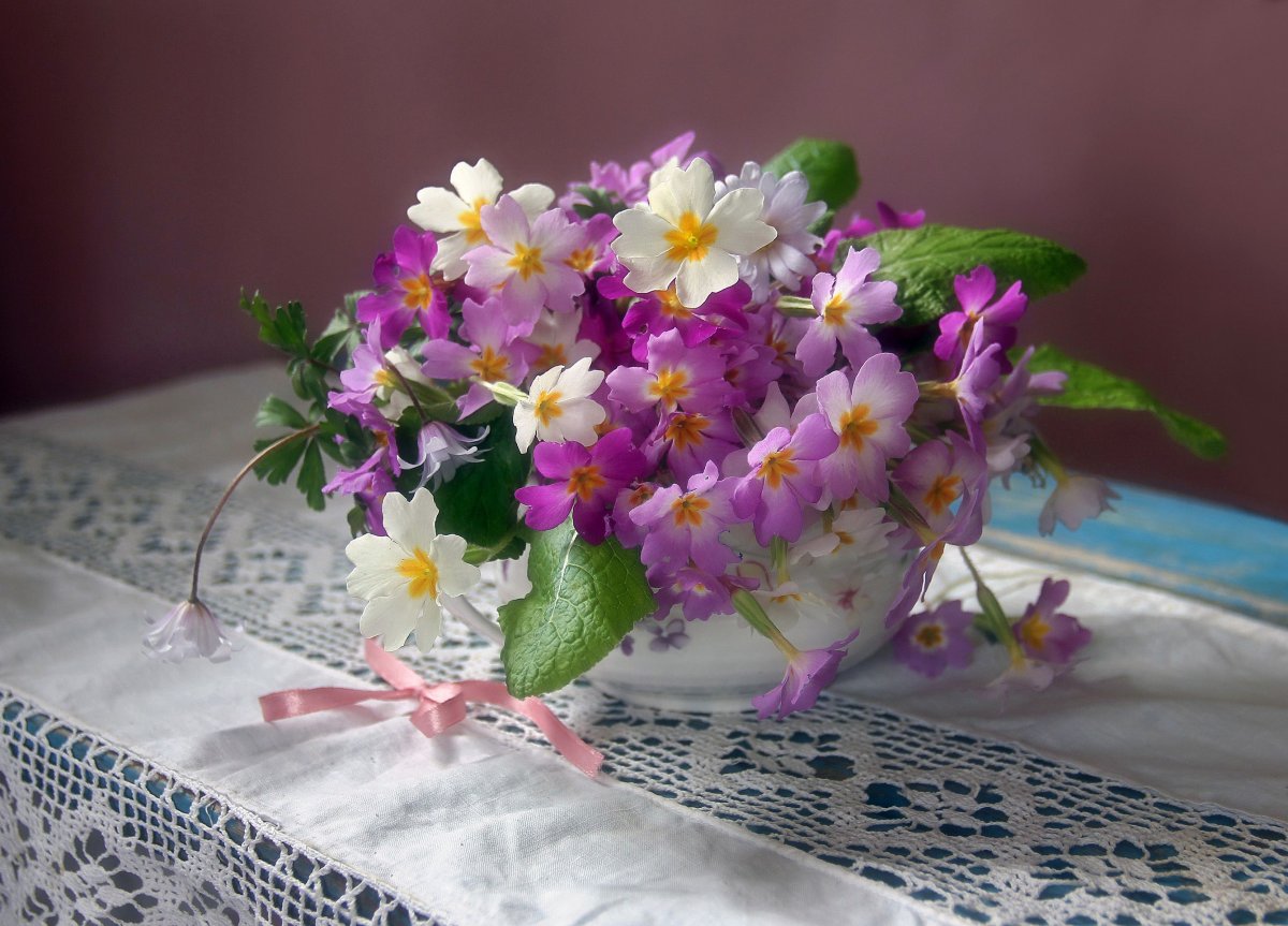 Примула акаулис