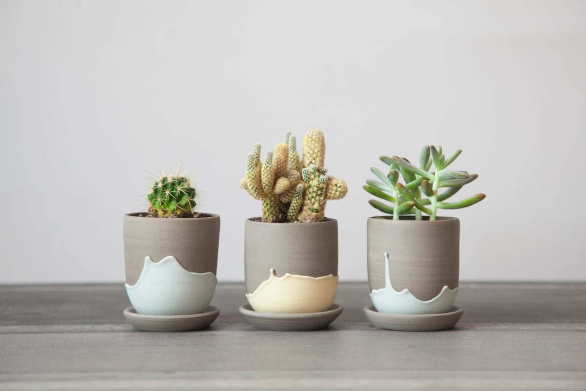 Camo Cactus Pot