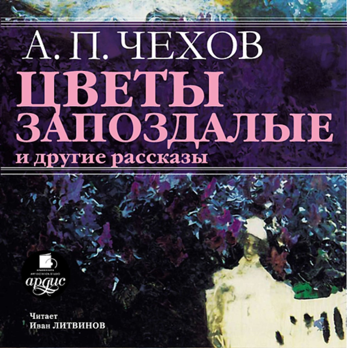 Астра осенняя