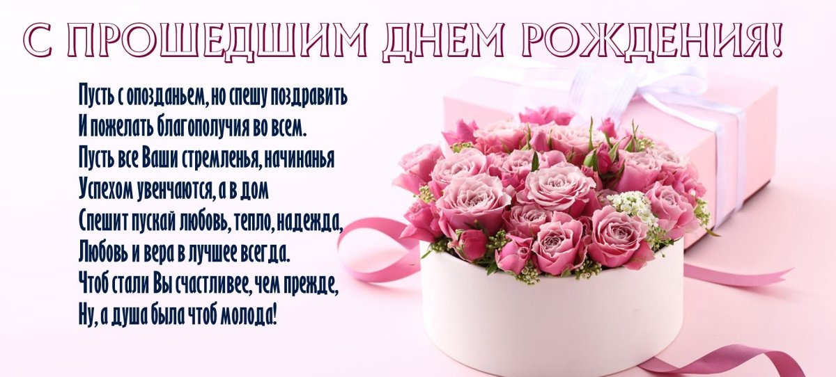 Астры в снегу
