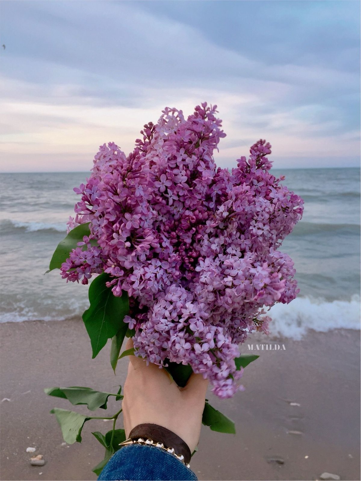 Сирень и море