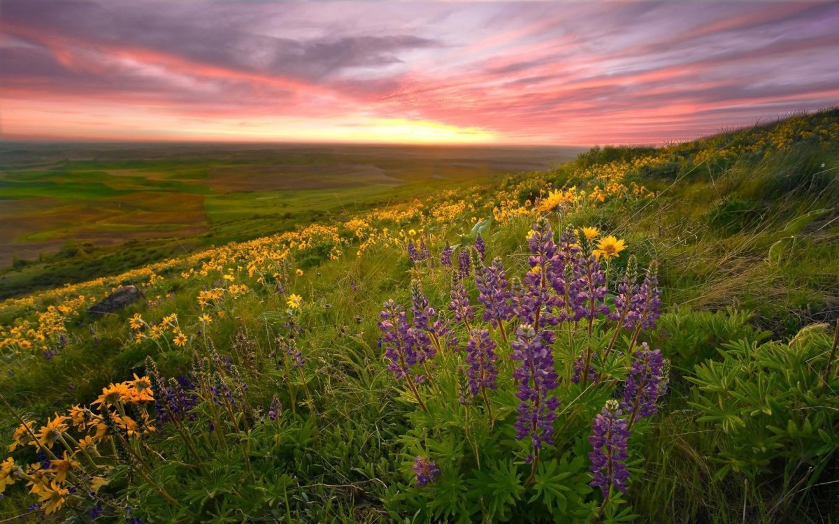 Природа в картинках