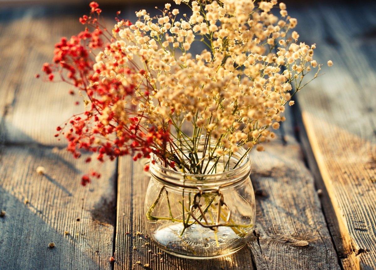 Dried Flowers сухоцветы