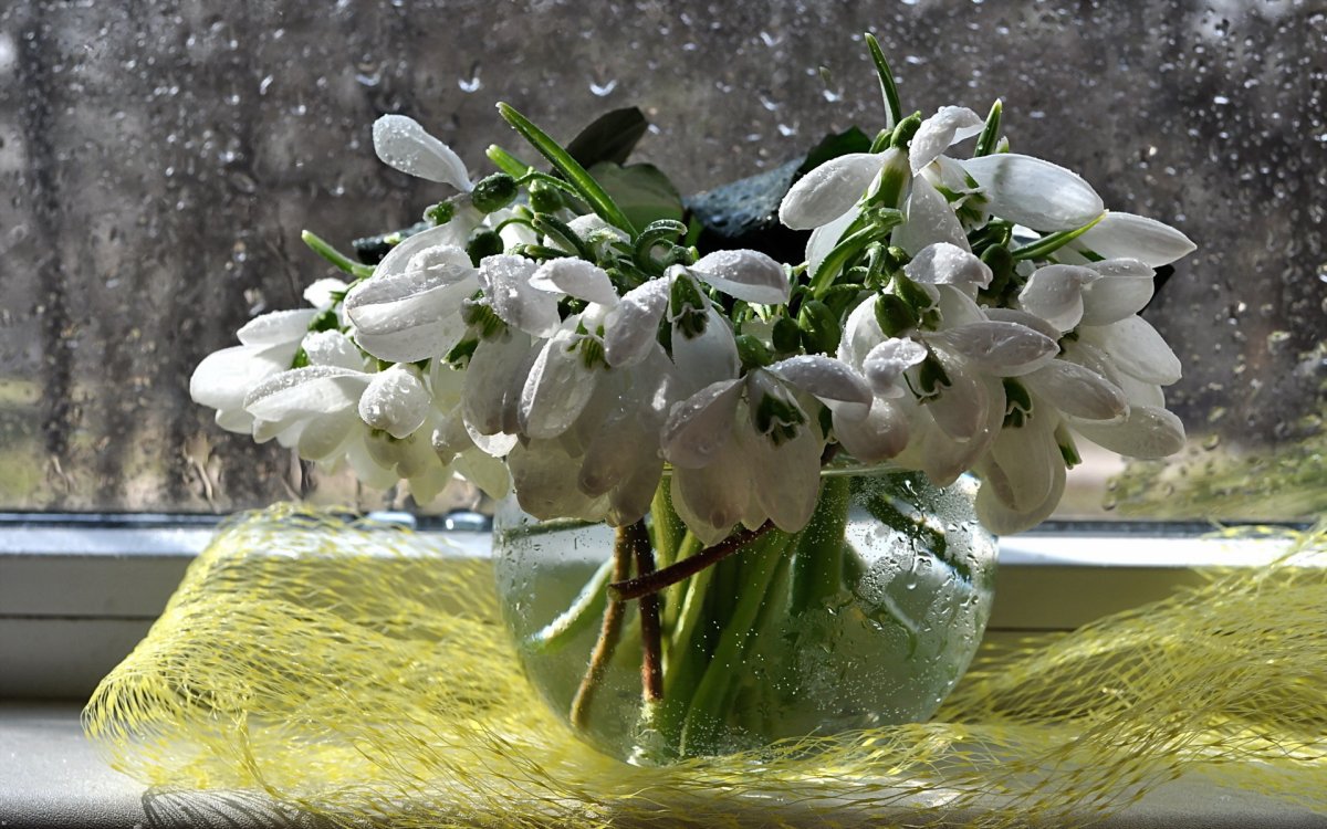 Корзинка с подснежниками