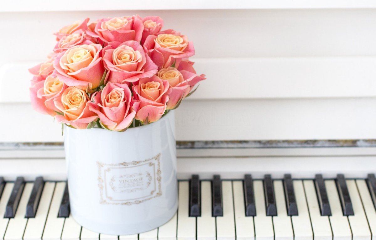 Роза Хэппи пиано Happy Piano