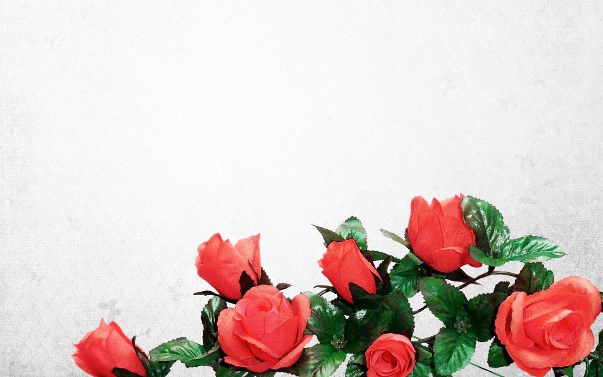 Роза сантана искусственные цветы
