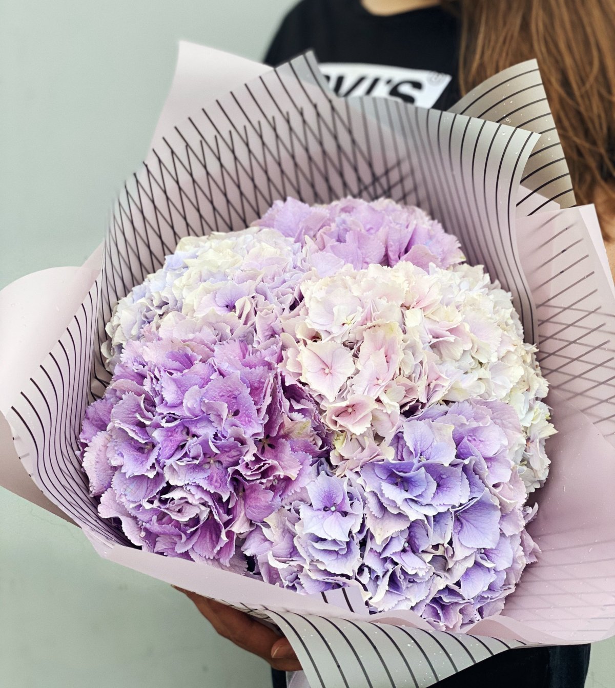Гортензия Bouquet Rose