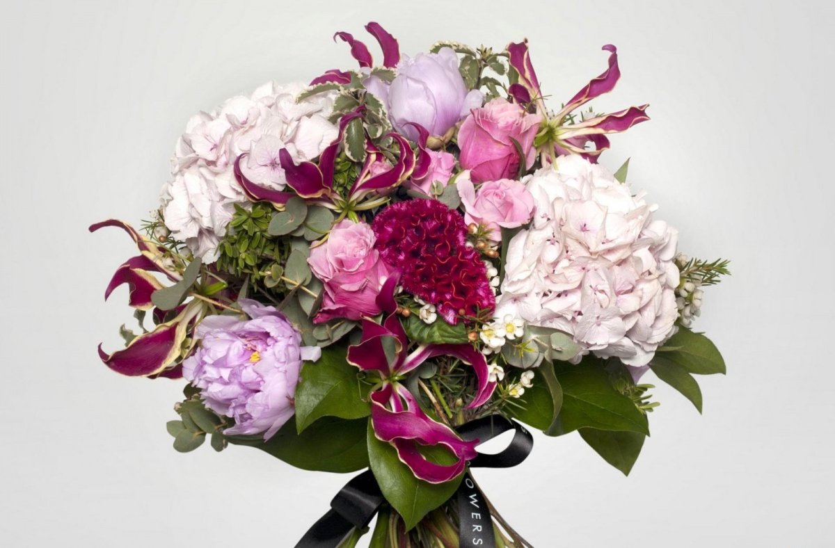 Гортензия крупнолистная Bouquet Rose