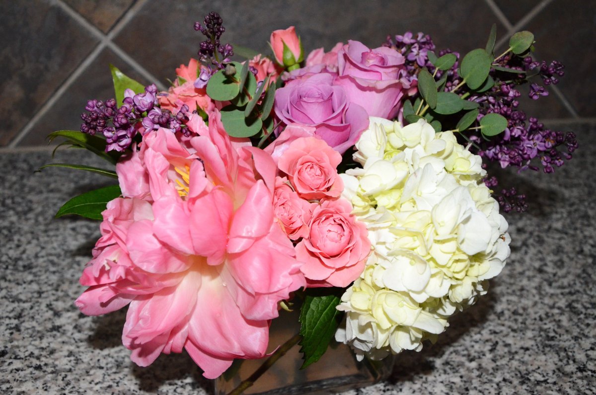 Гортензия крупнолистная Bouquet Rose