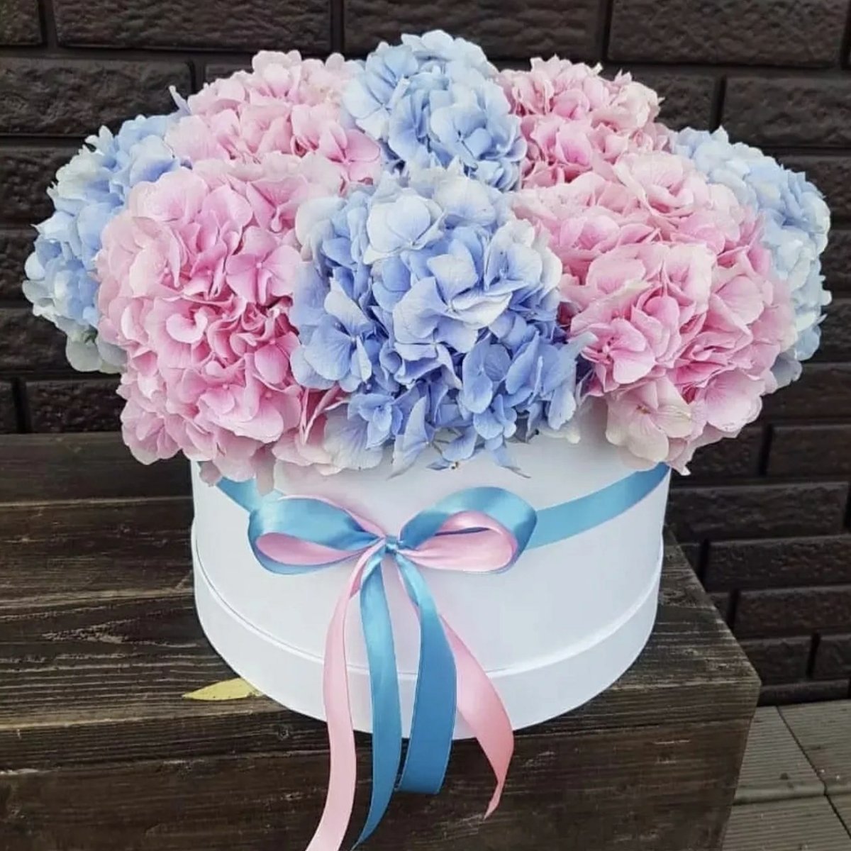 Гортензия метельчатая Bouquet Rose