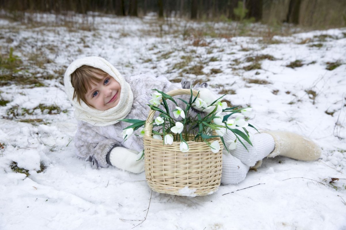 Розы на снегу