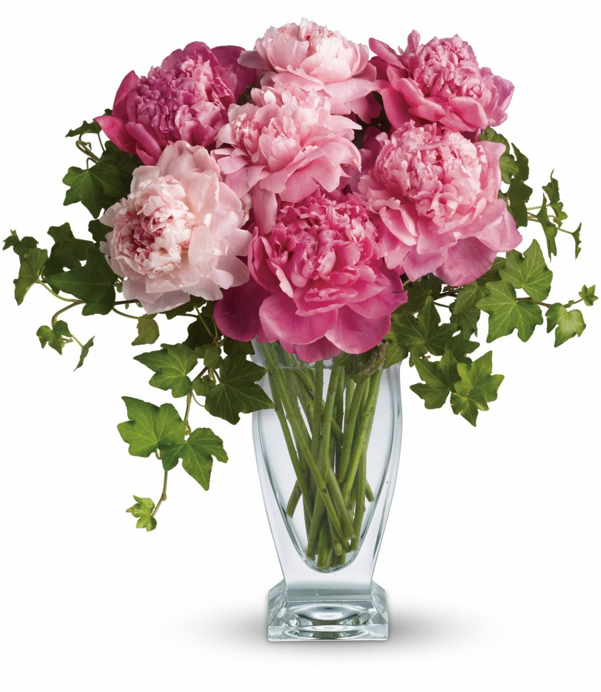 Пион Bouquet perfect