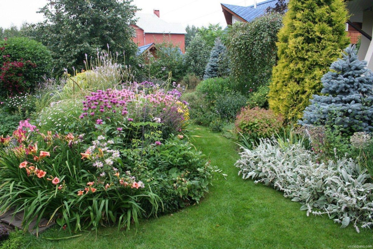 Цветы для сада и огорода