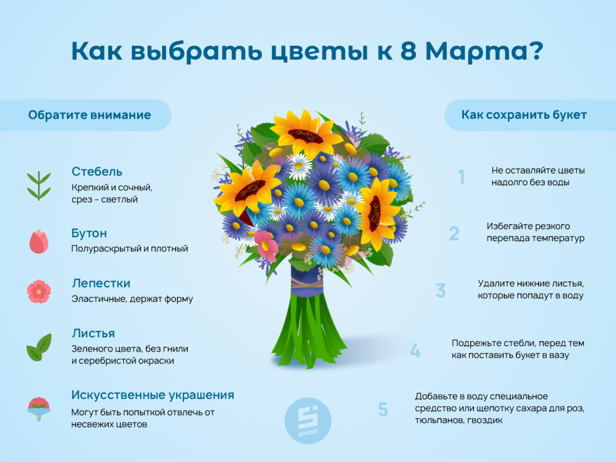 ГБУ Озеленение Саларьево теплицы
