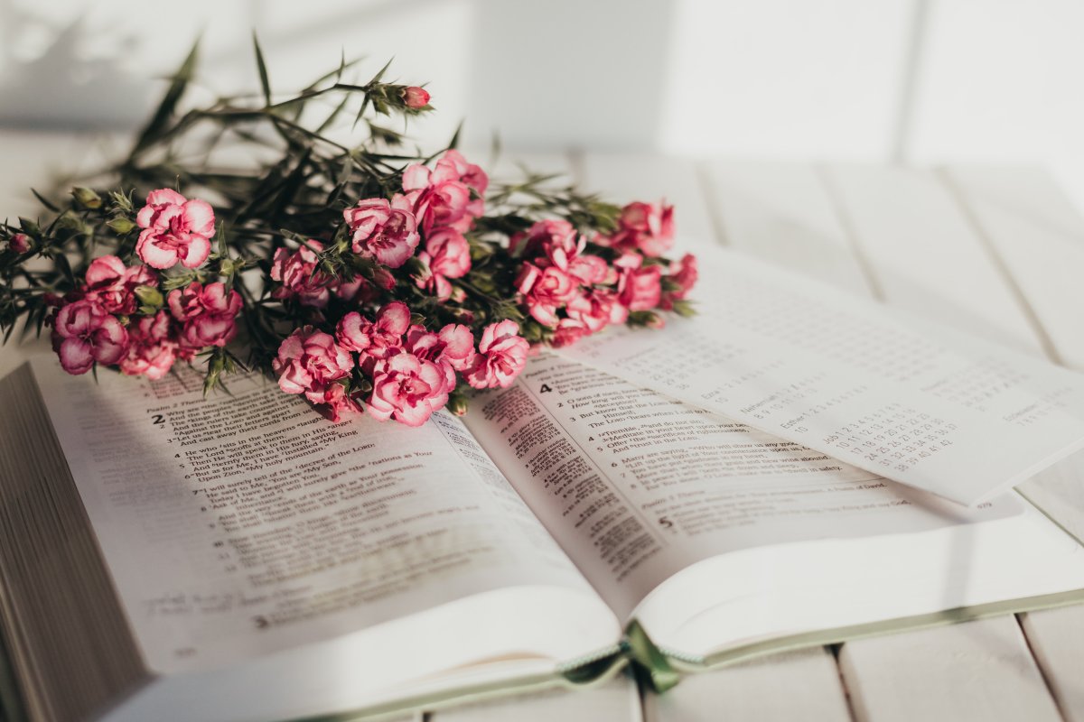 Книжный цветок