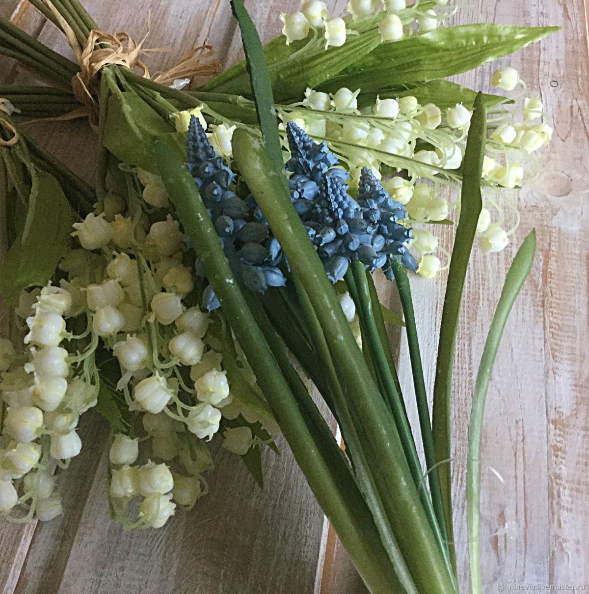 Мускари армянский Muscari armeniacum