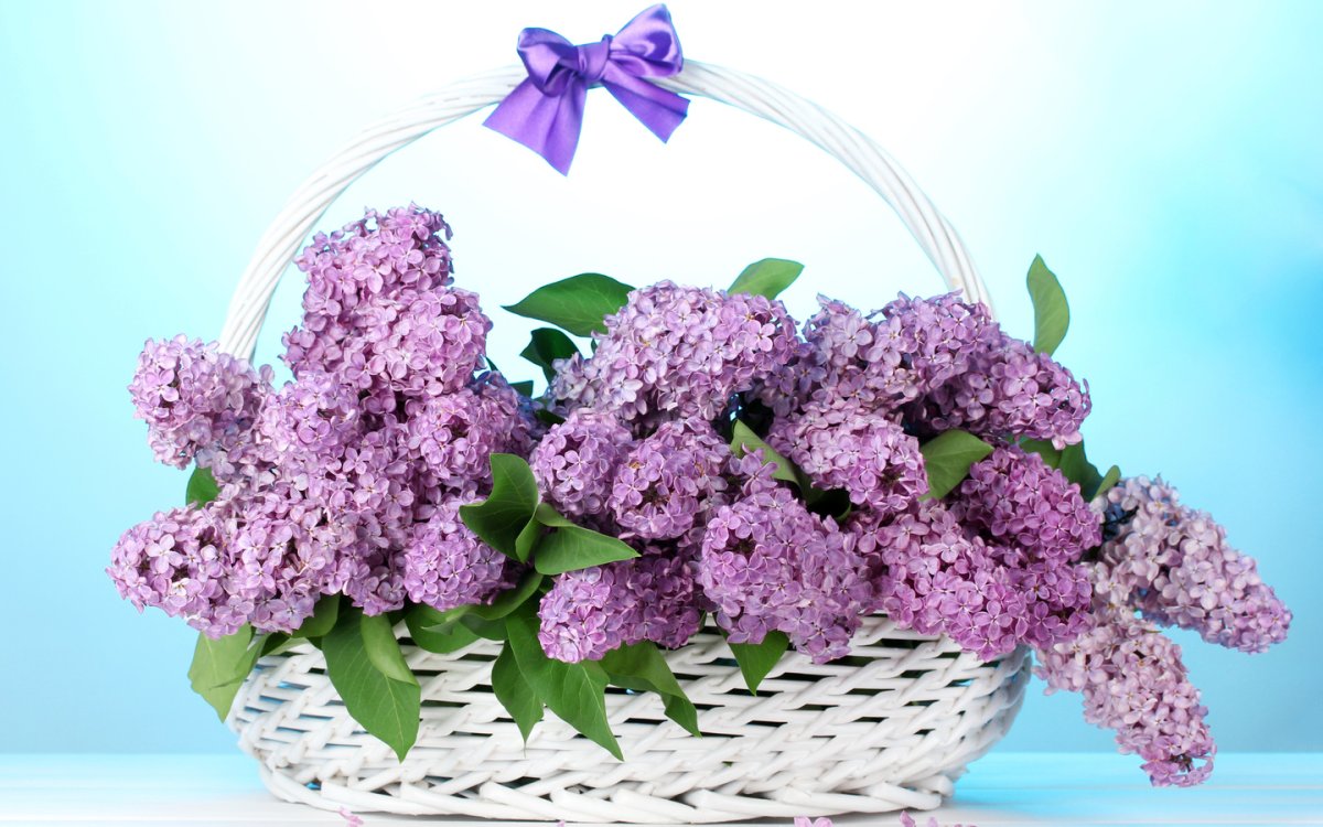 Открытка цветы