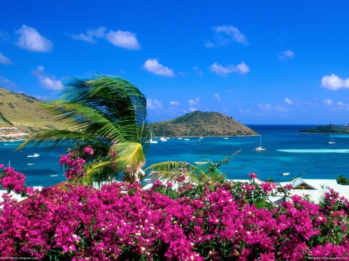Hawaii Beach Анталия