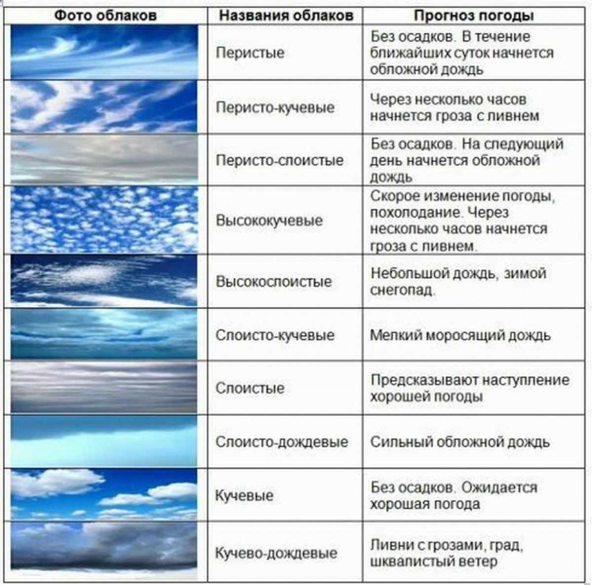Чейз Атлантик френдс