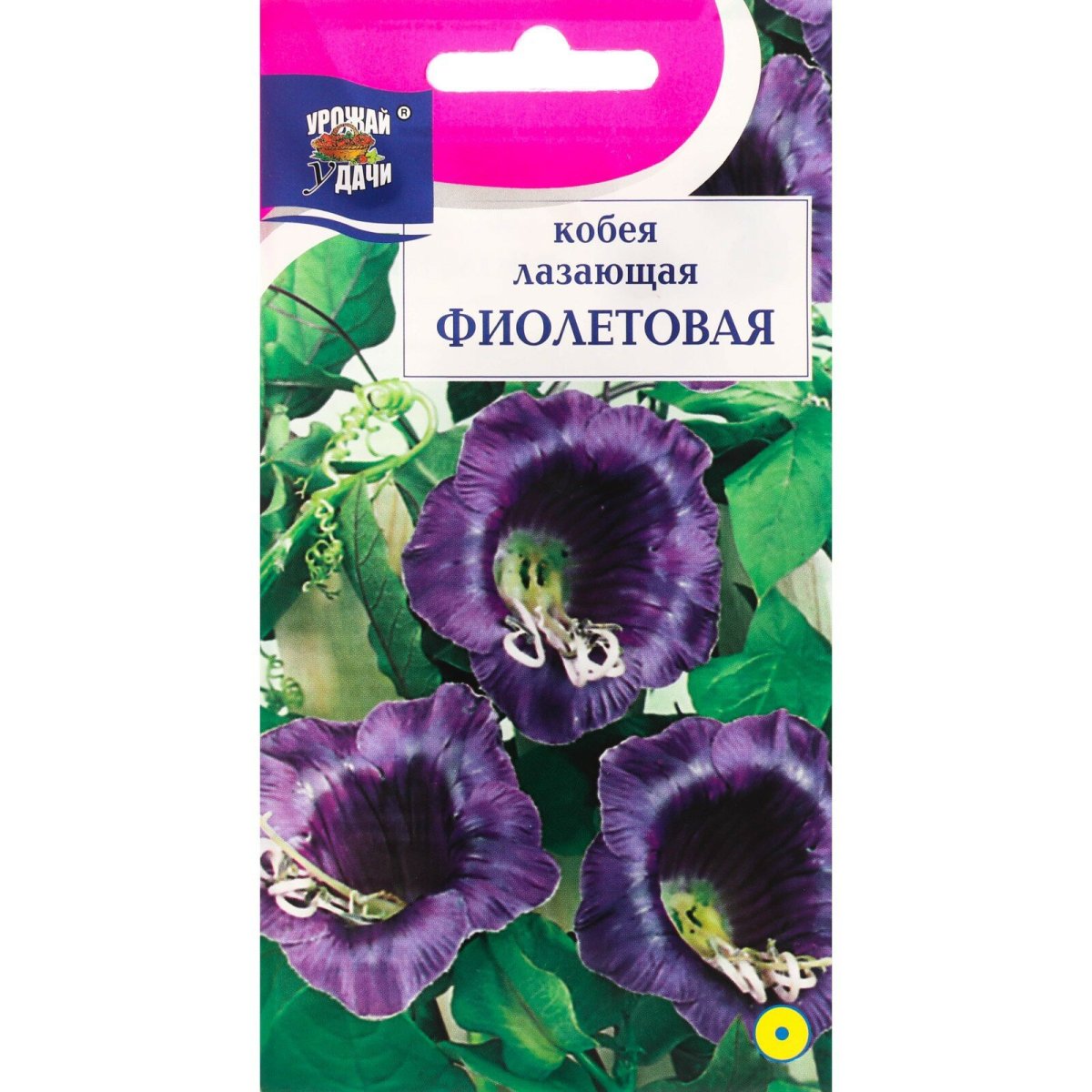Кобея цветы вьющиеся по опорам