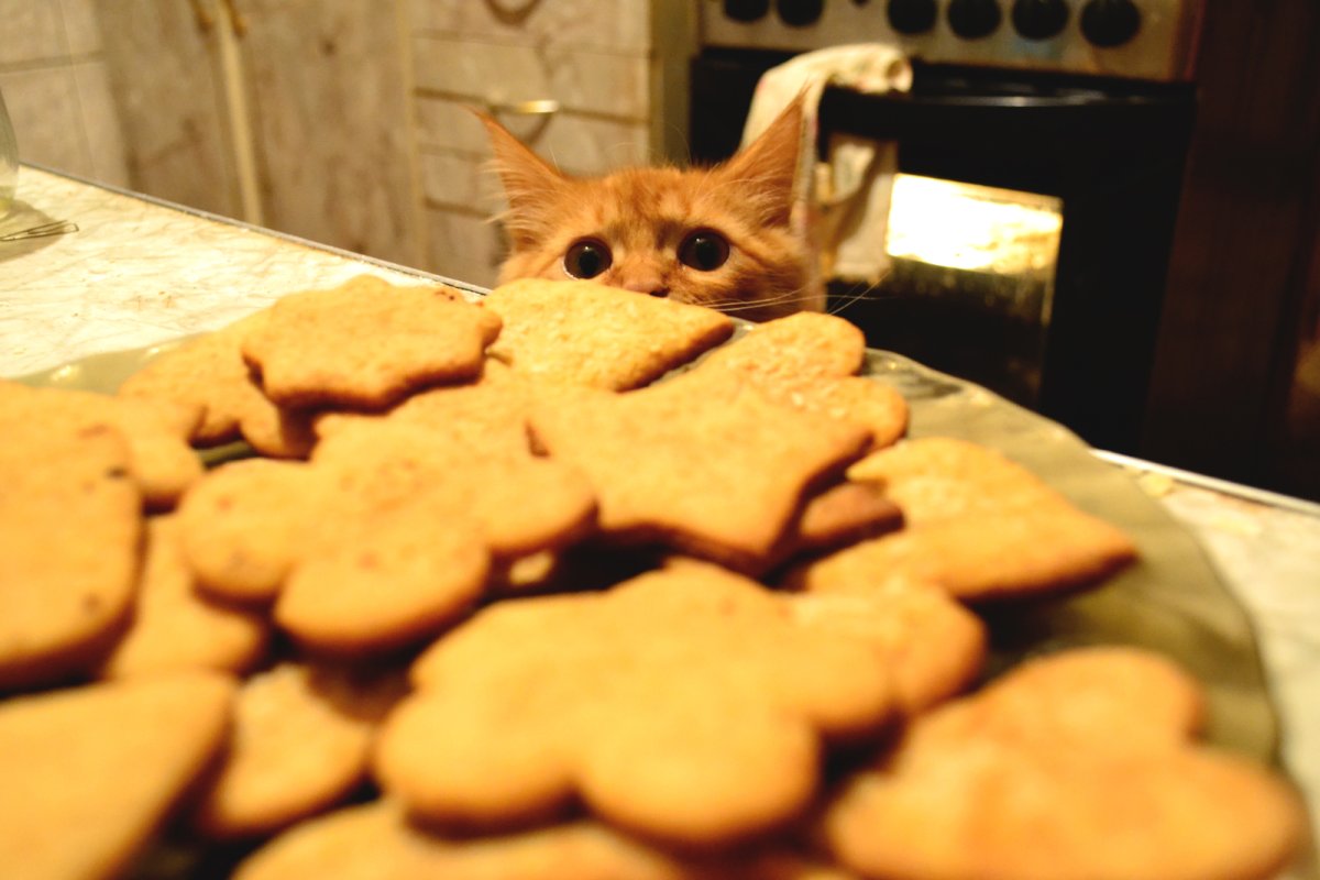 Косточка для собак лепка